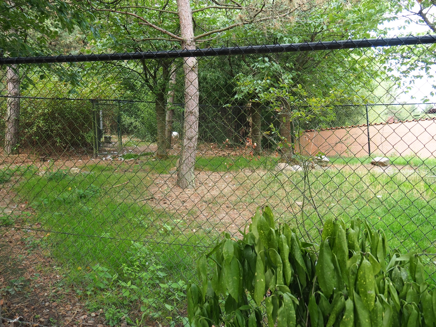 Seemingly empty crane exhibit (Aug 28th, 2018)