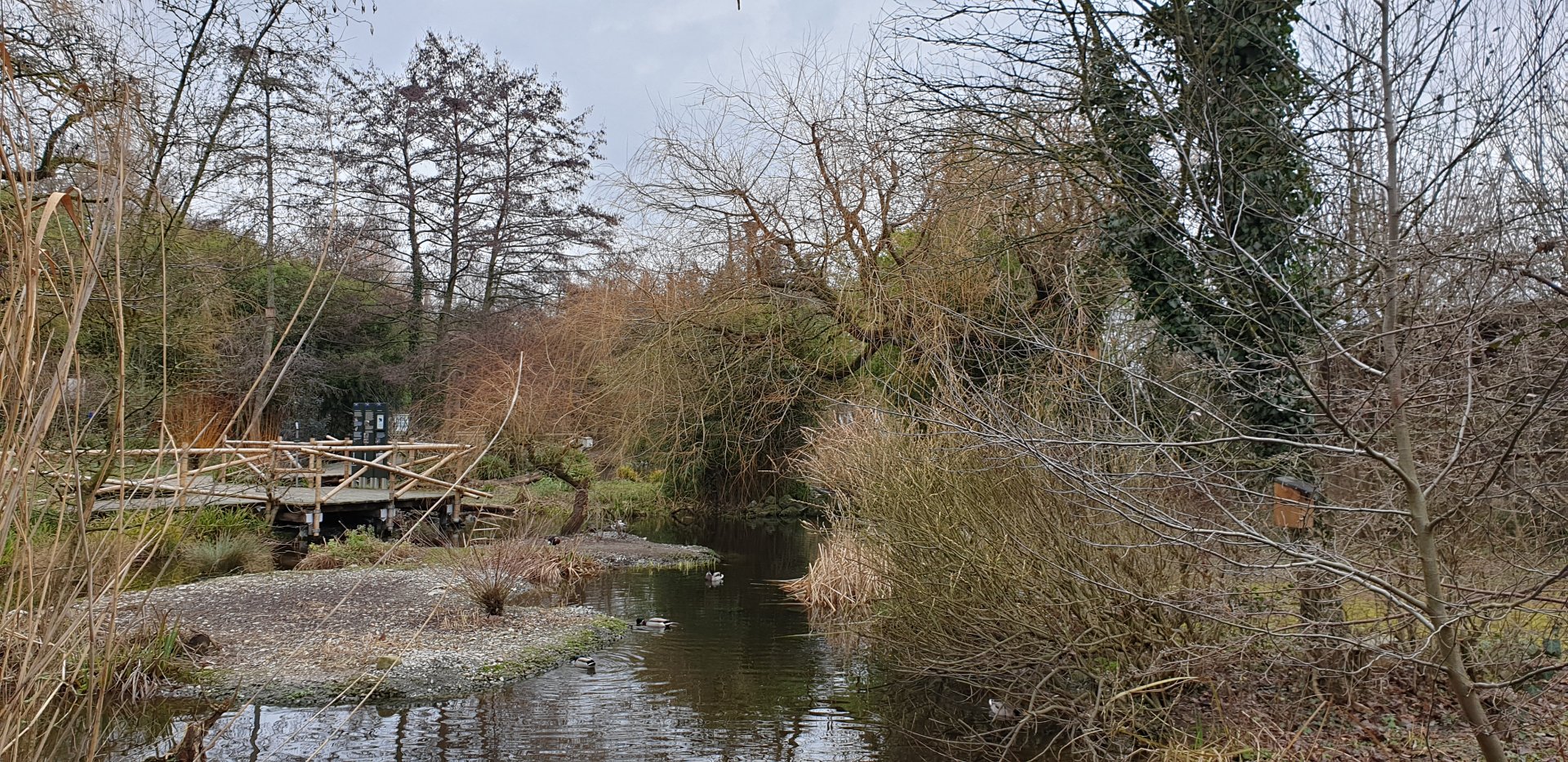 Selenga Eurasian Wetlands