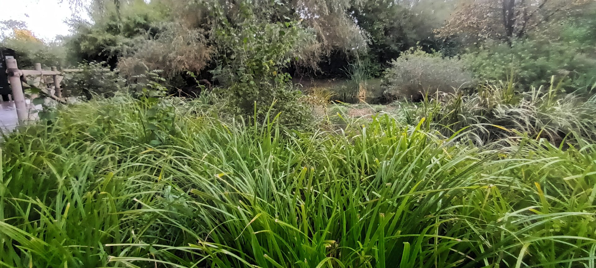 Selenga general View