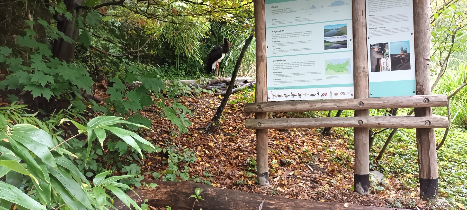 Selenga Signage and Black Stork