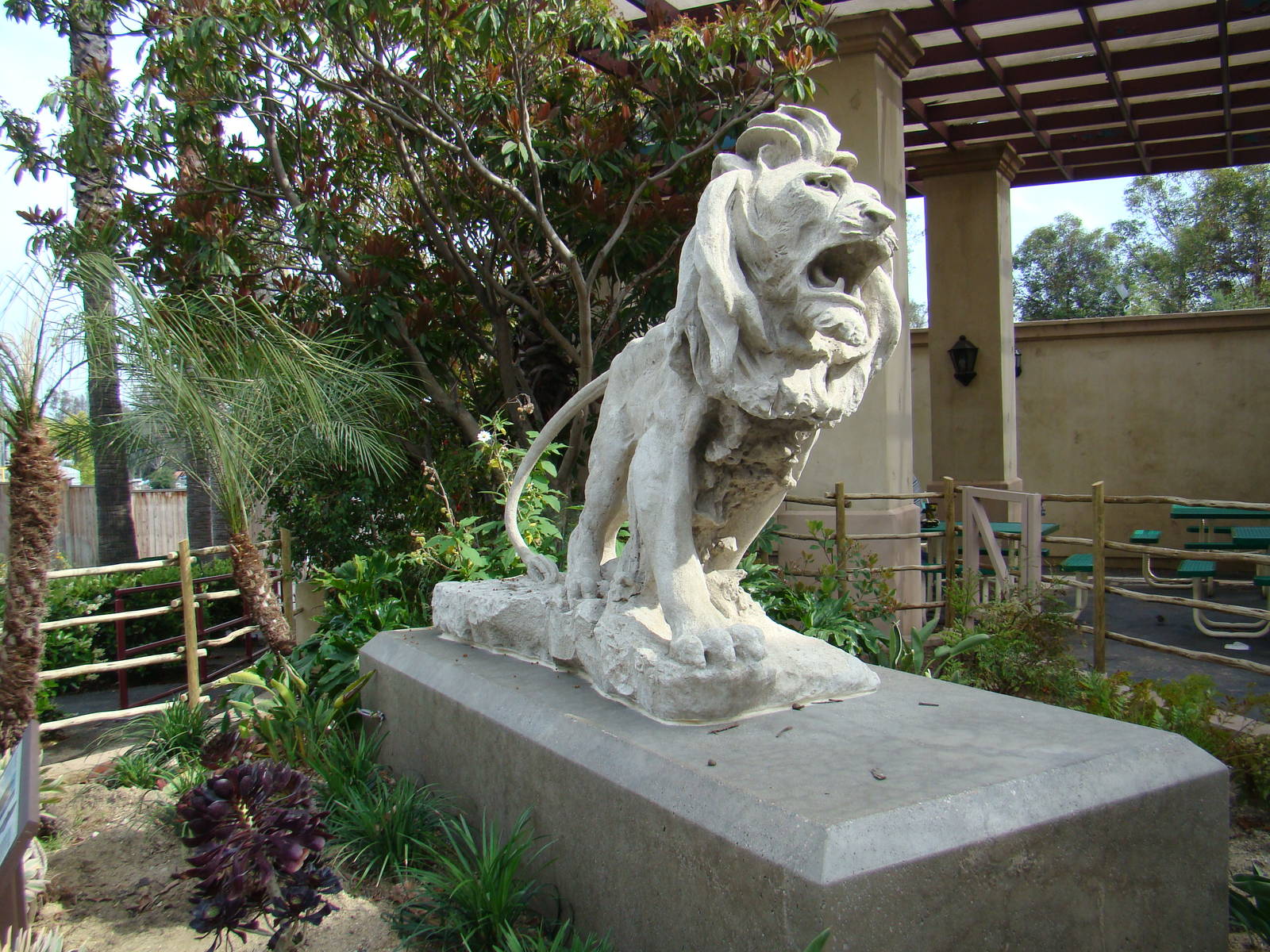 Selig Zoo lion statue