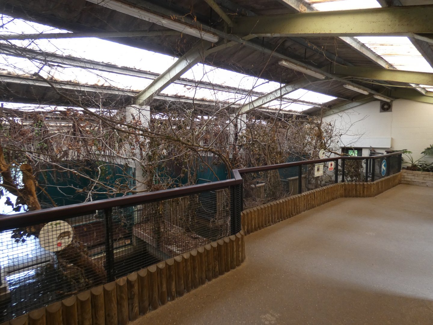 Semi Aquatic Mammal house