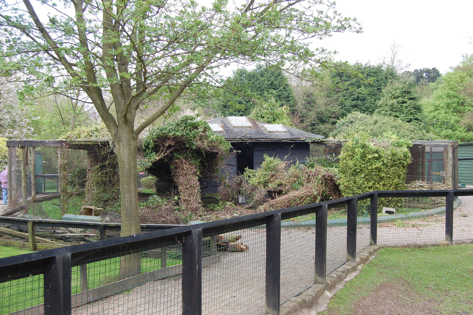 Semi-Knocked down aviaries