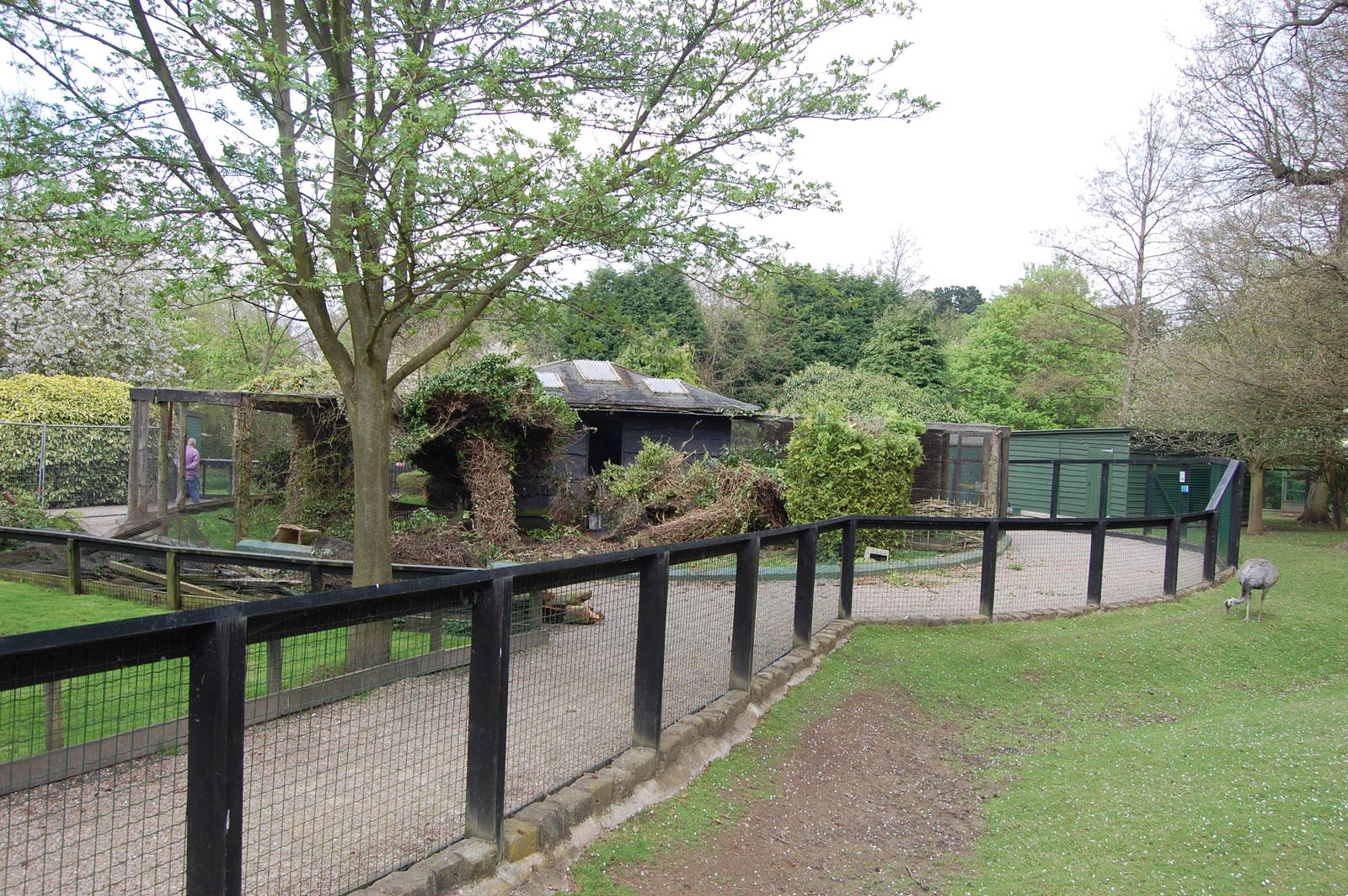 Semi-Knocked down aviaries