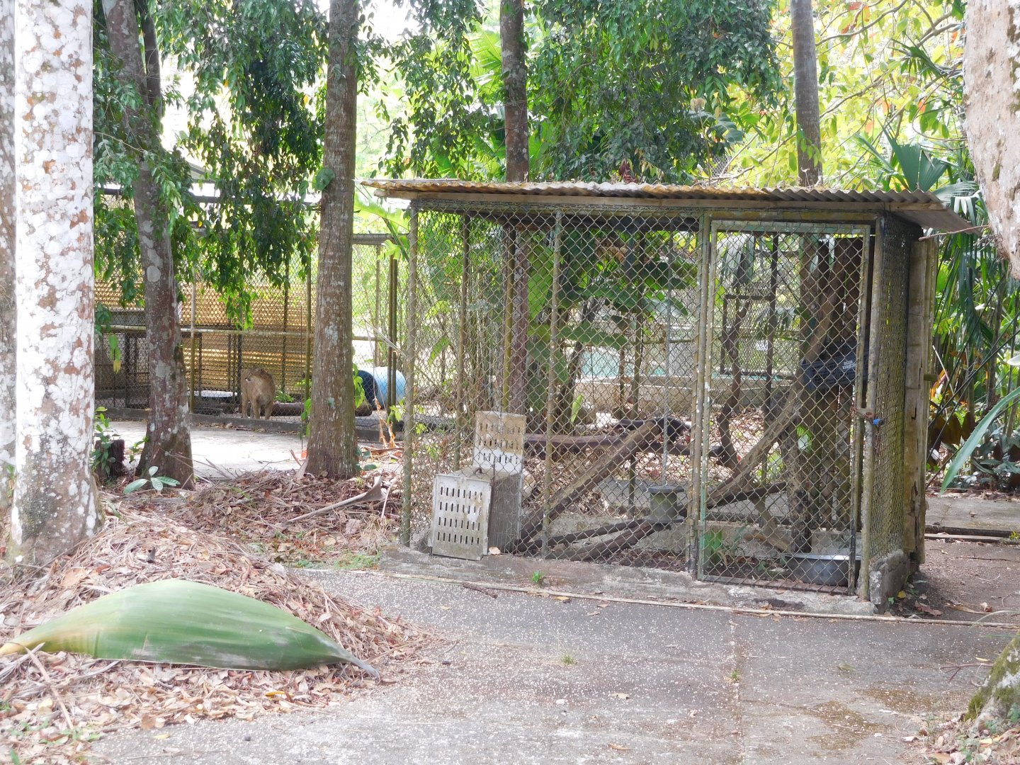 Semi off-show section