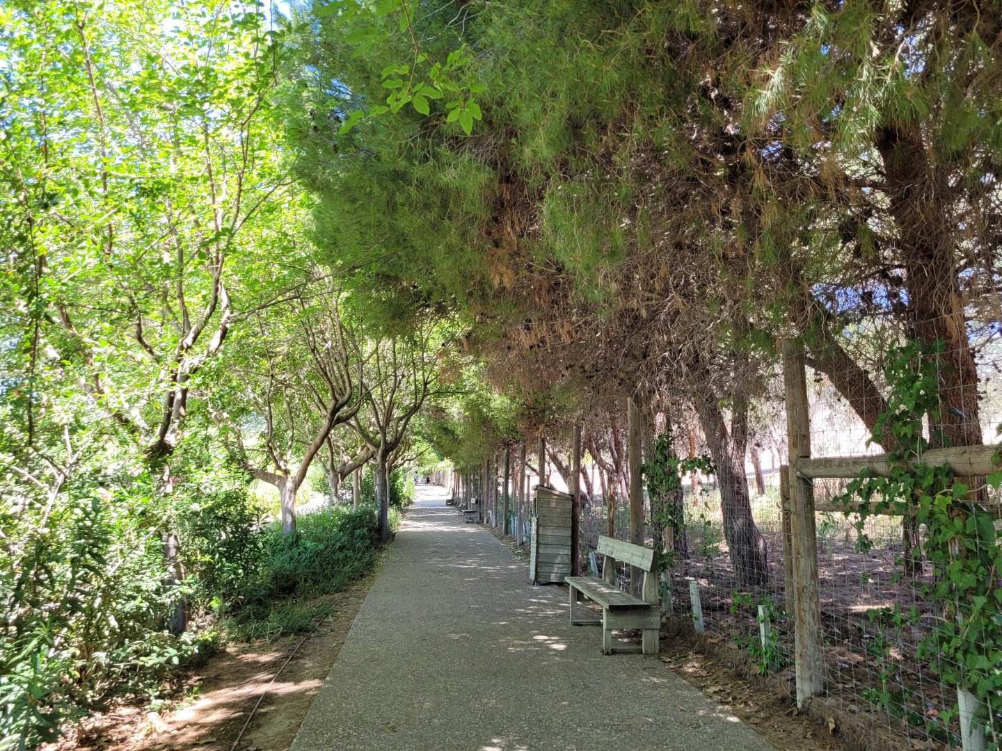 "Senda de los Herbívoros" view -Sendaviva (2024)