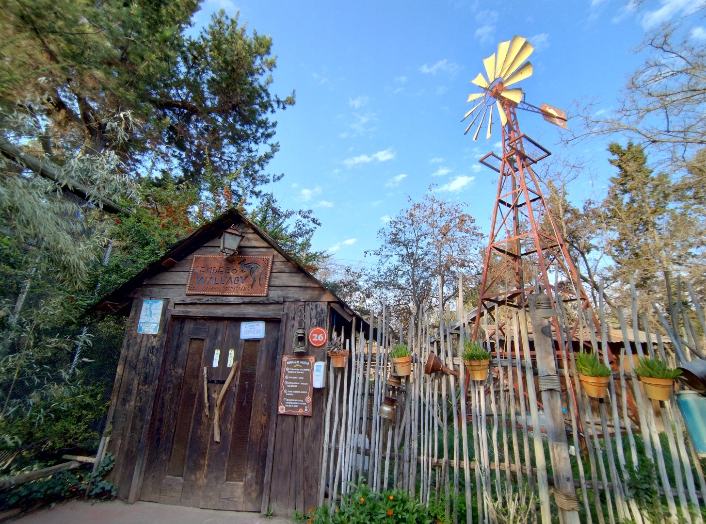 Sendero wallaby - Buin zoo