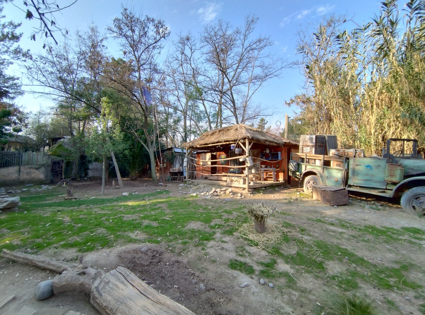 Sendero wallaby - Buin zoo