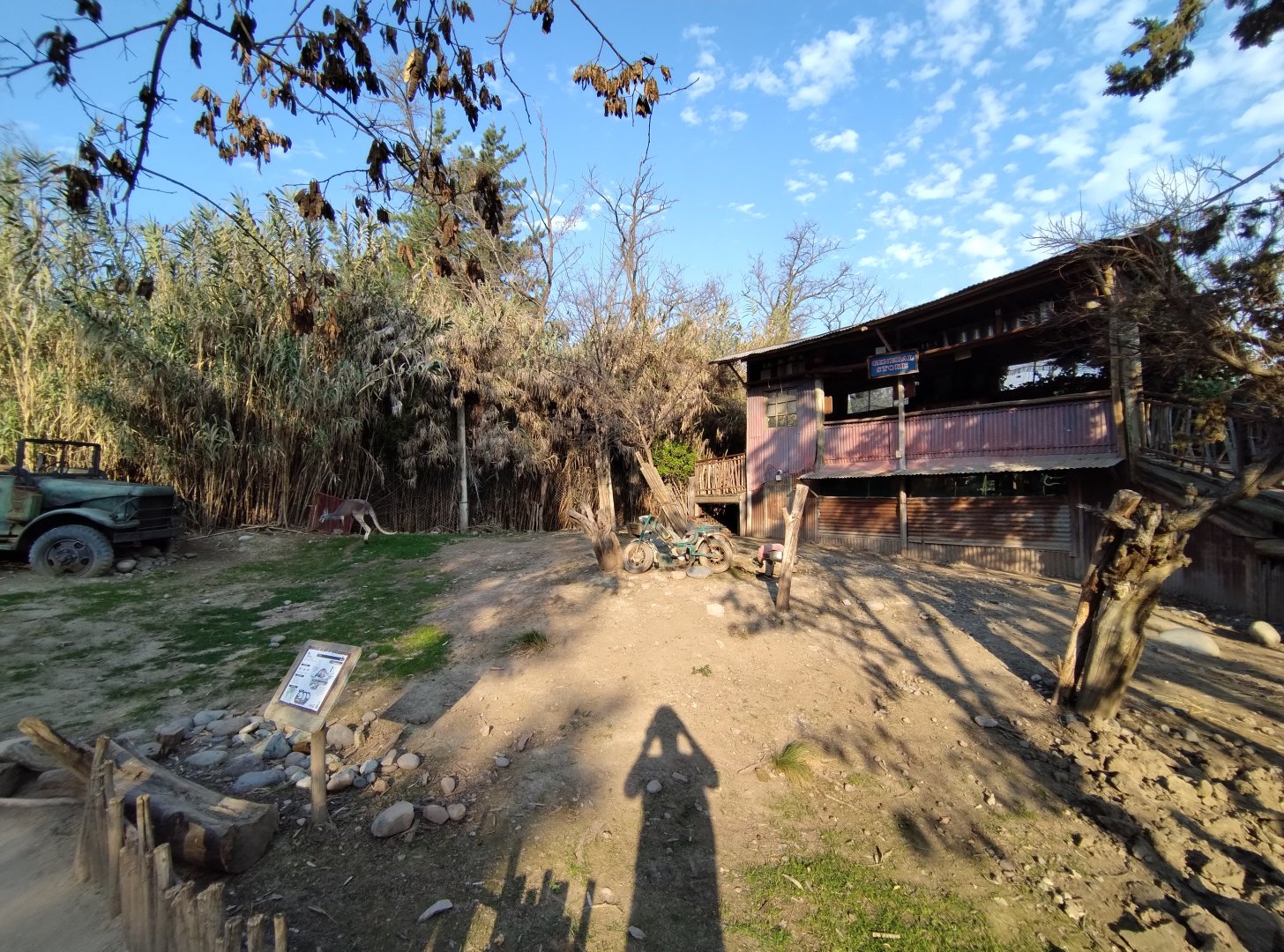 Sendero wallaby - Buin zoo