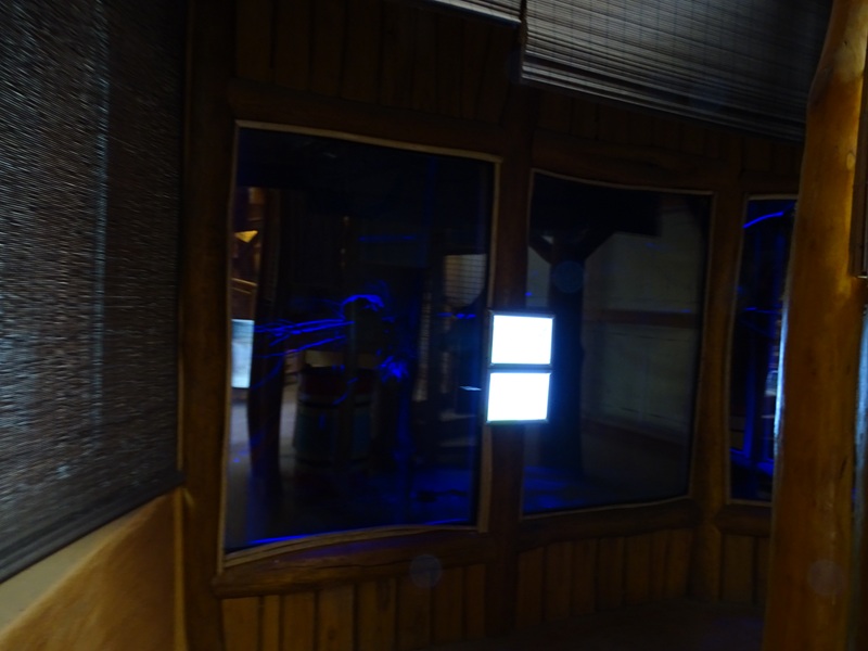 Senegal bushbaby enclosure