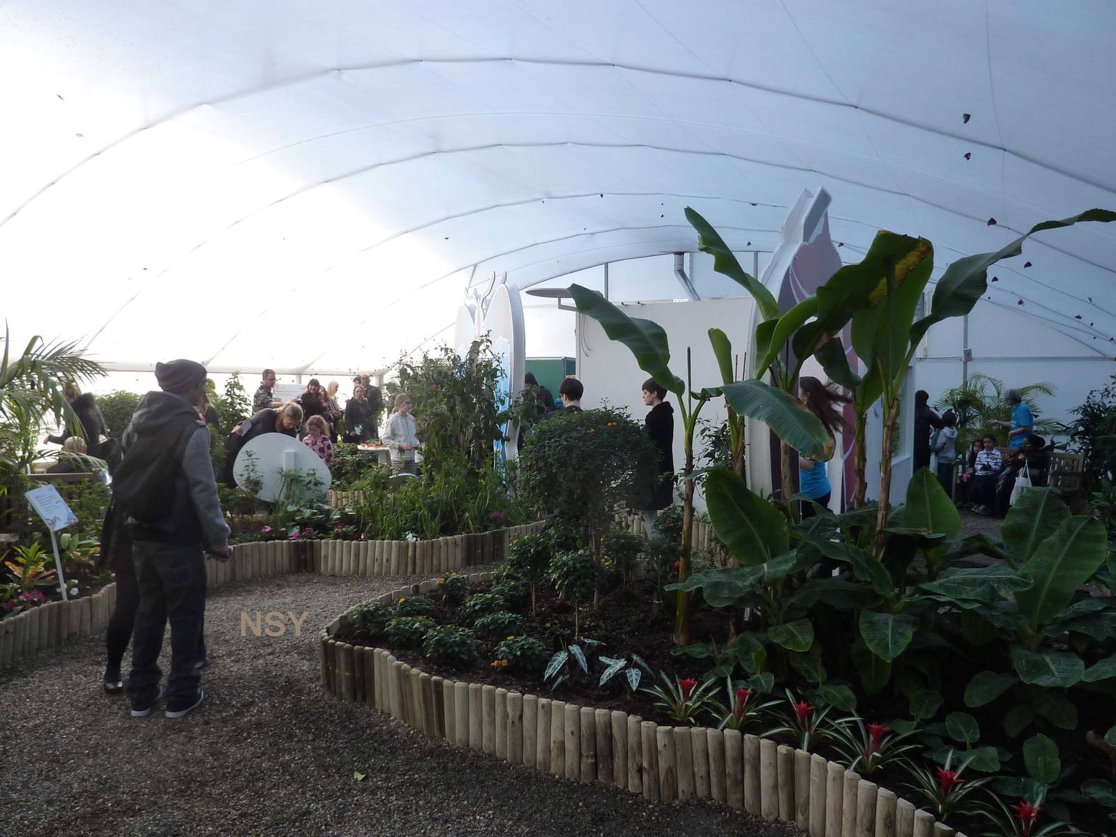 'Sensational butterflies' exhibit, April 2013.