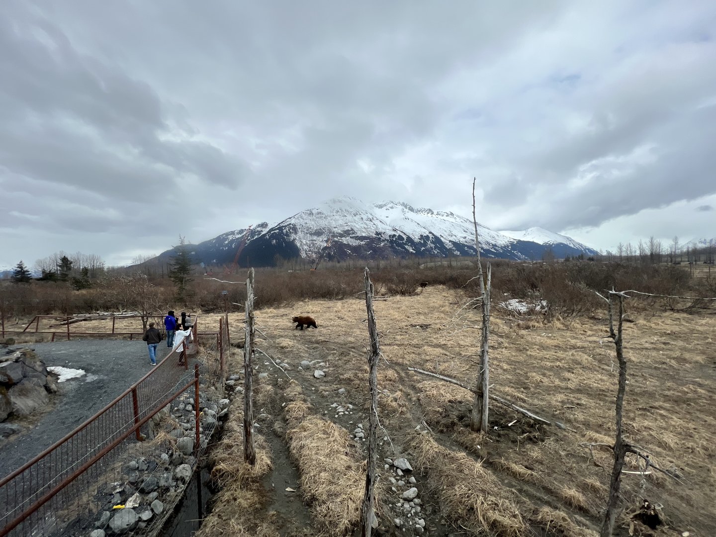 Sense of scale as we move down the boardwalk.