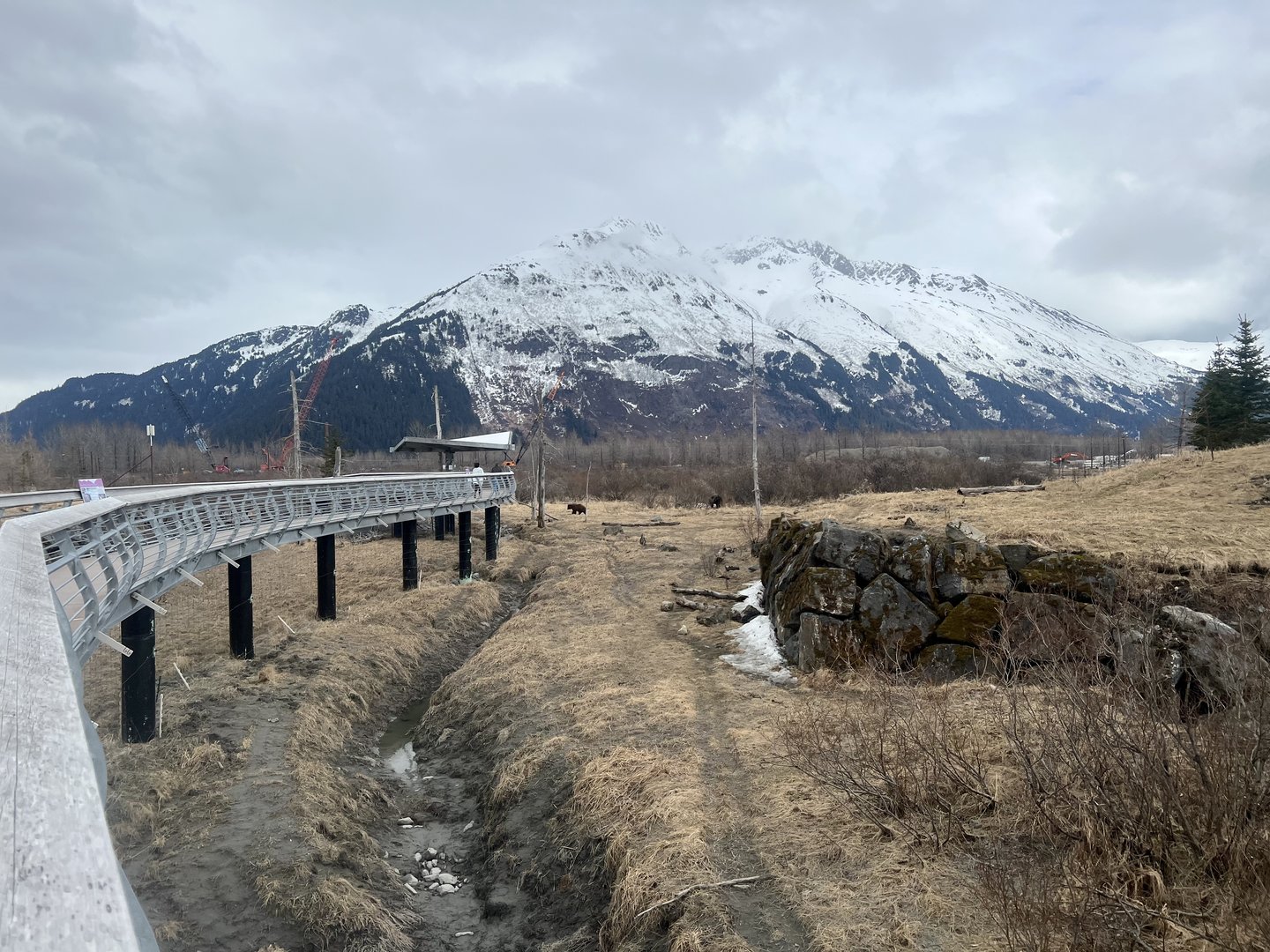 Sense of scale.  This view is just a bit to left of the previous one, the small hill would now be to your right.