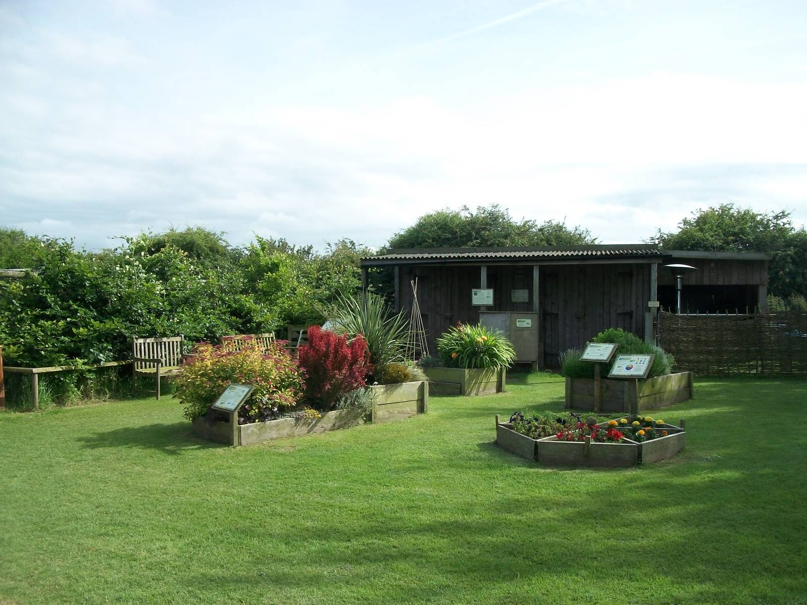 Sensory area, 19th June 2014