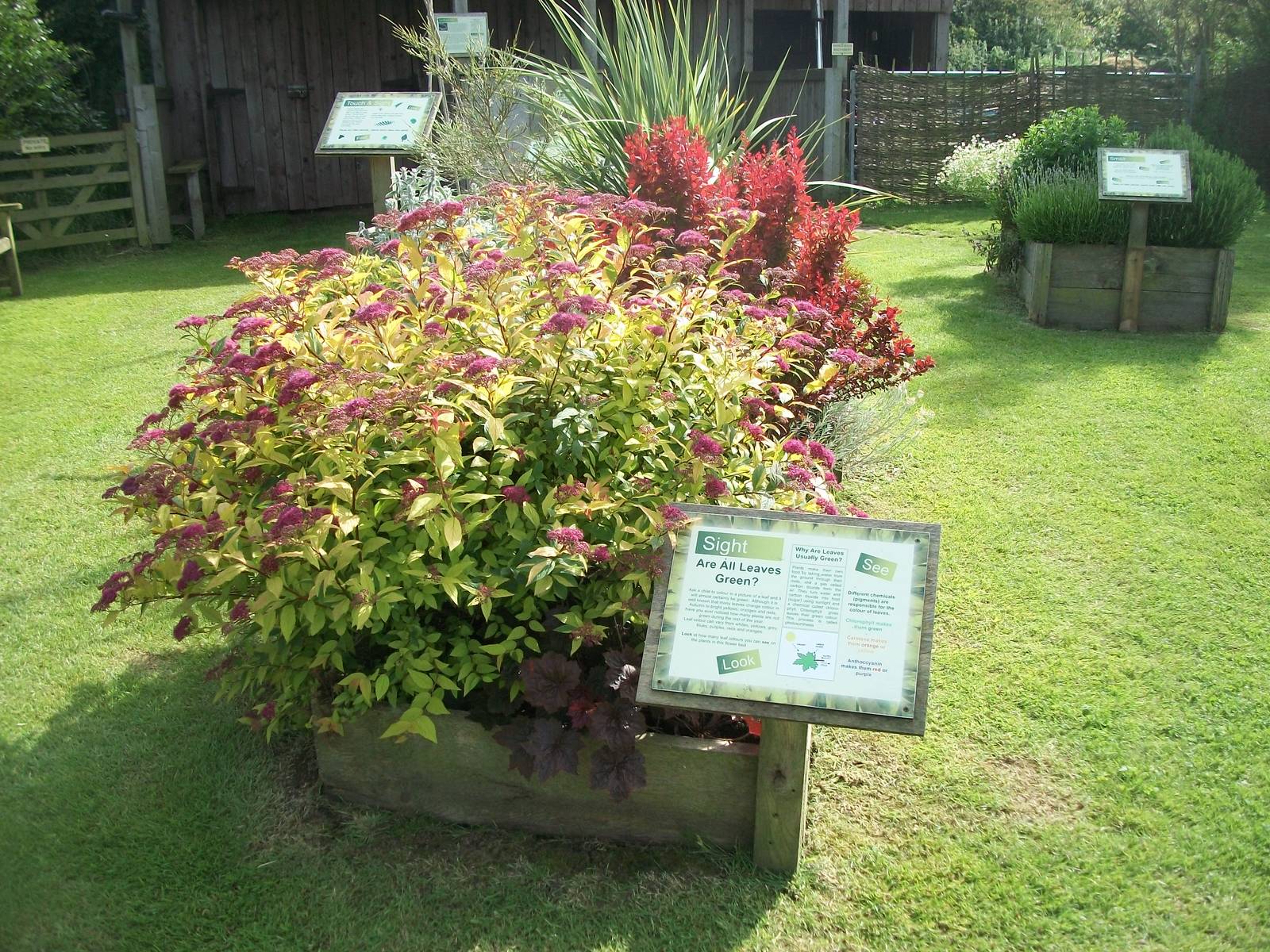 Sensory area, 19th June 2014