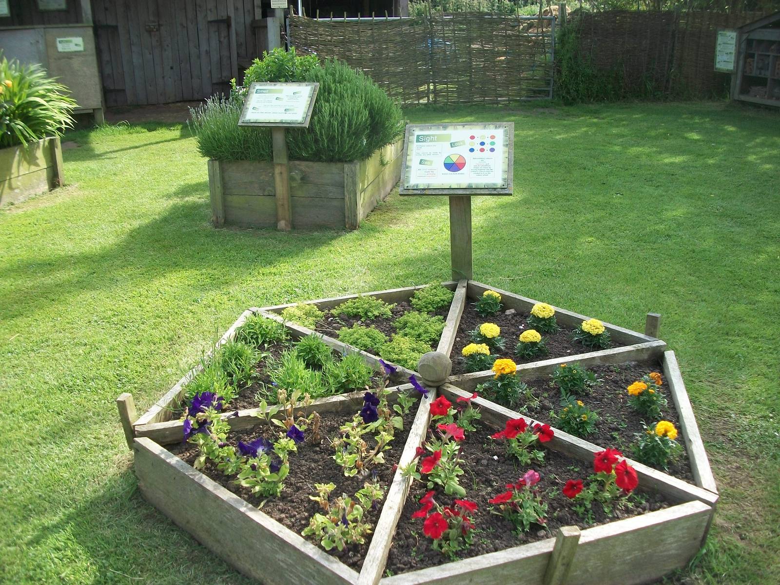 Sensory area, 19th June 2014