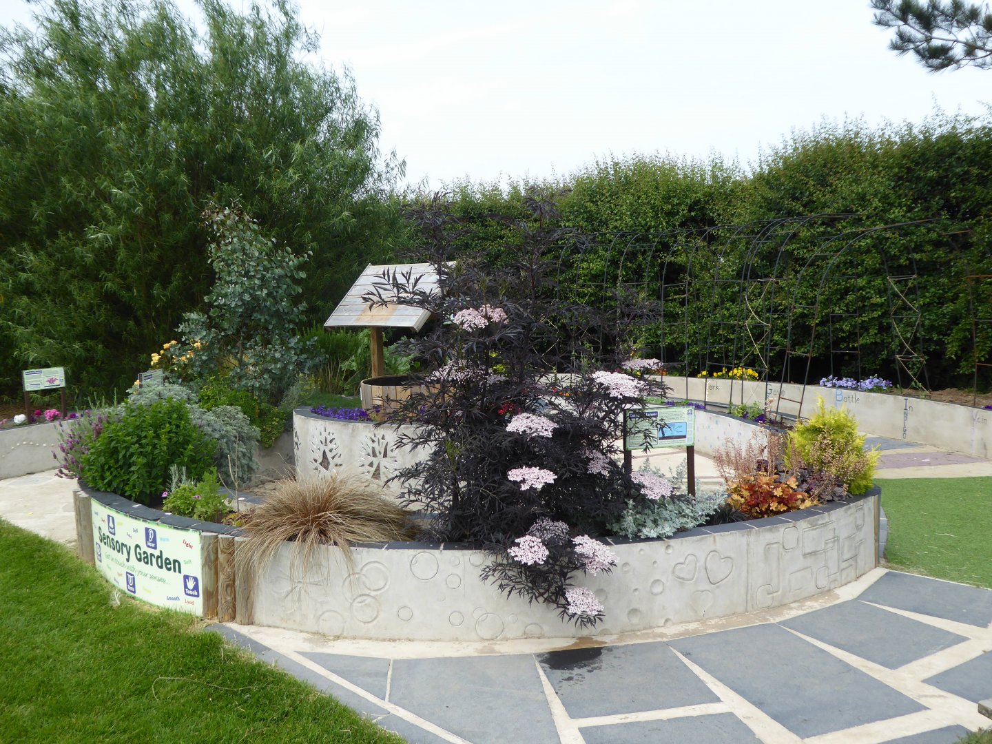 Sensory Garden, 21st June 2017
