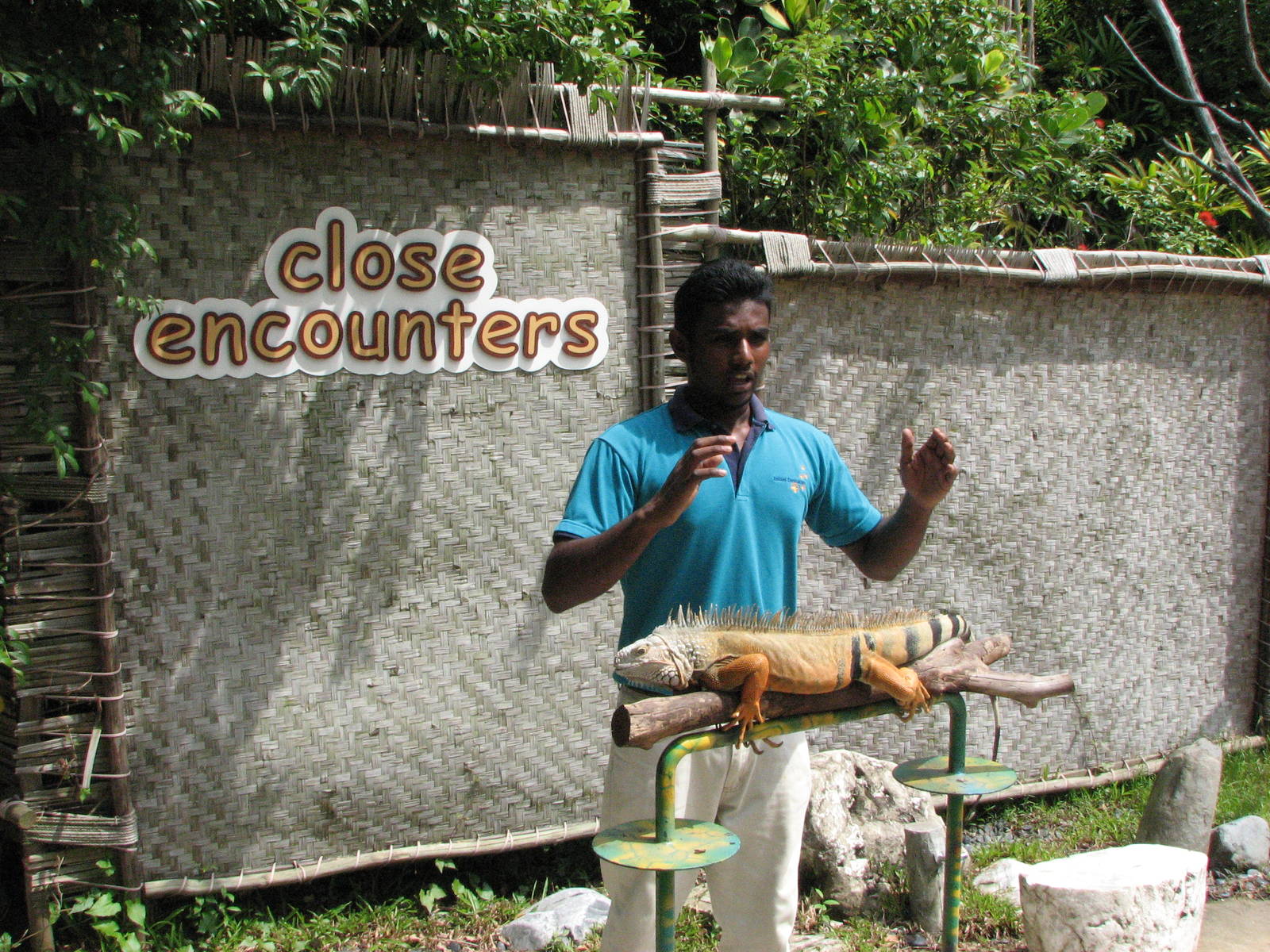 Sentosa Island Multi-animal Encounters 2008 - Close encounters with a confi