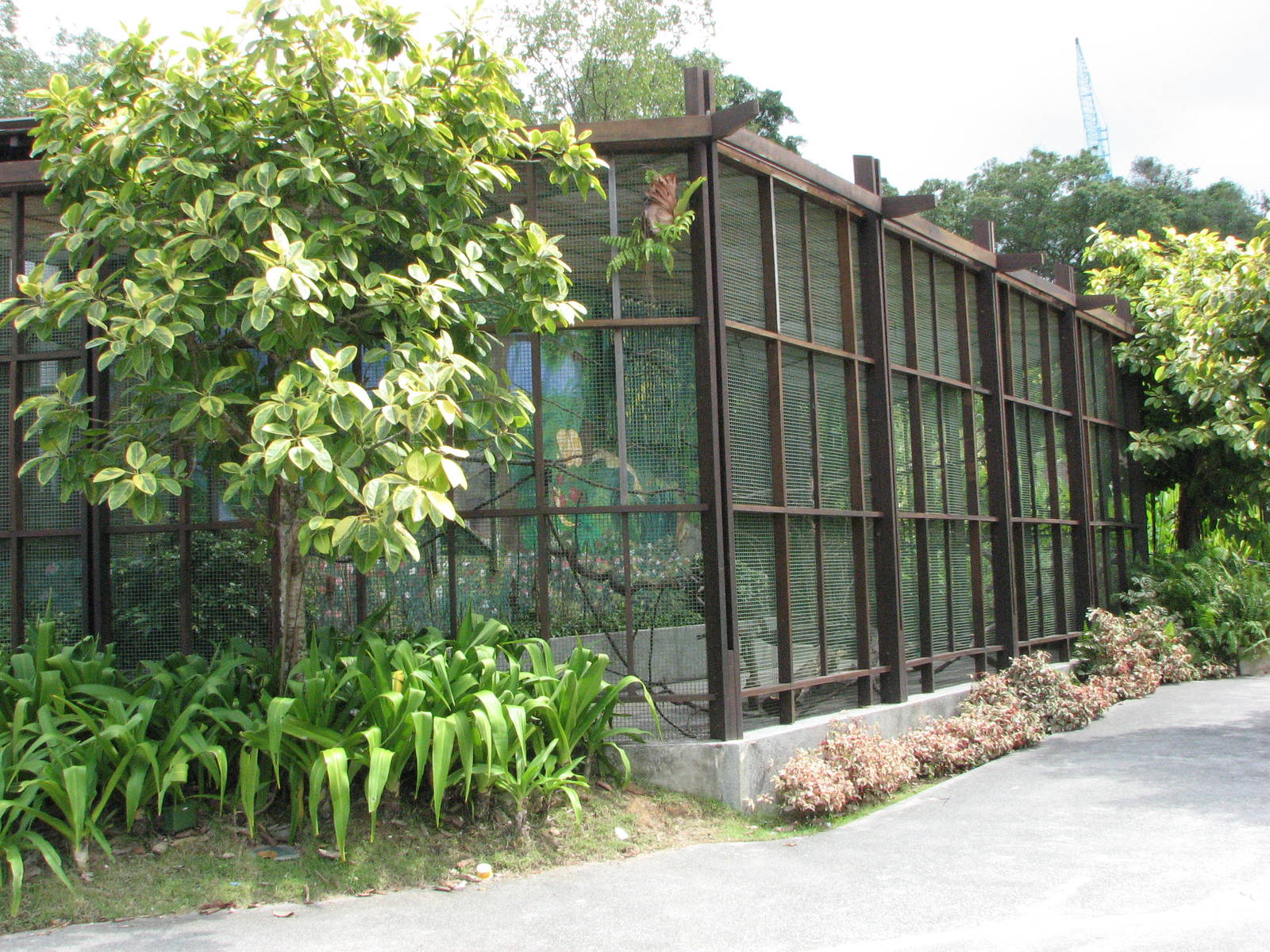 Sentosa Island Multi-animal Encounters 2008 - Front view of the aviary