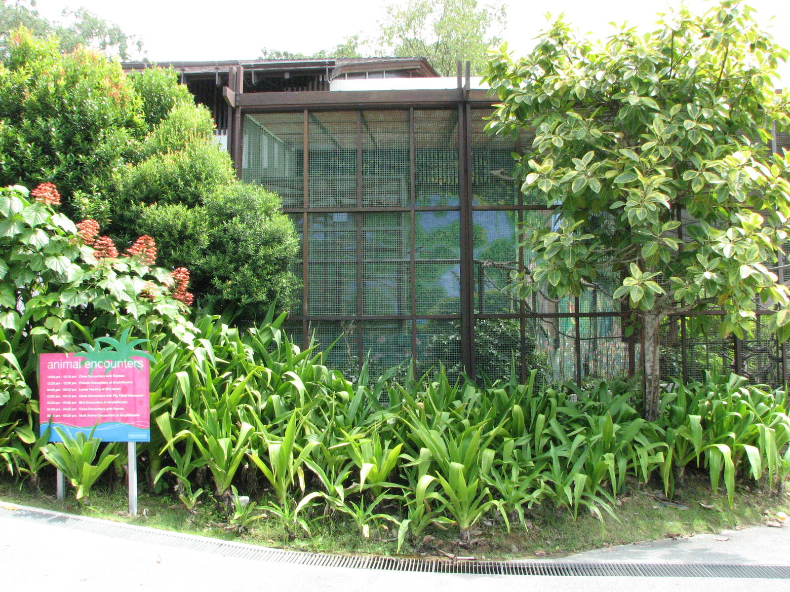 Sentosa Island Multi-animal Encounters 2008 - Side-view of the aviary