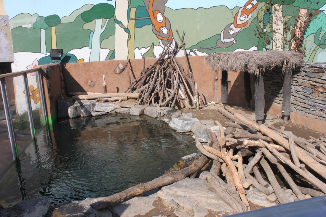 Seoul Zoo - Beaver outdoor exhibit.