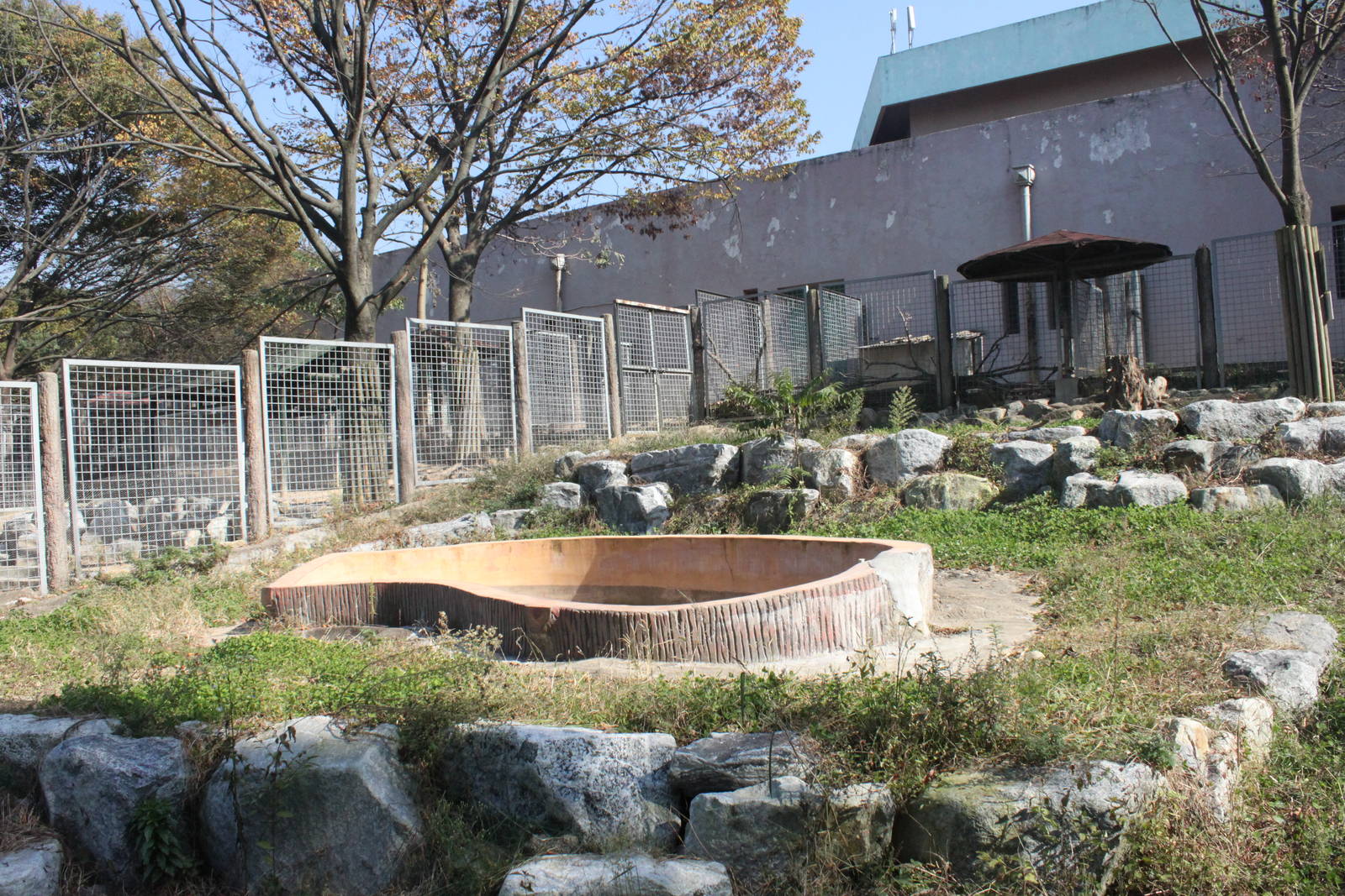 Seoul Zoo - Giant anteater Outdoor exhibit
