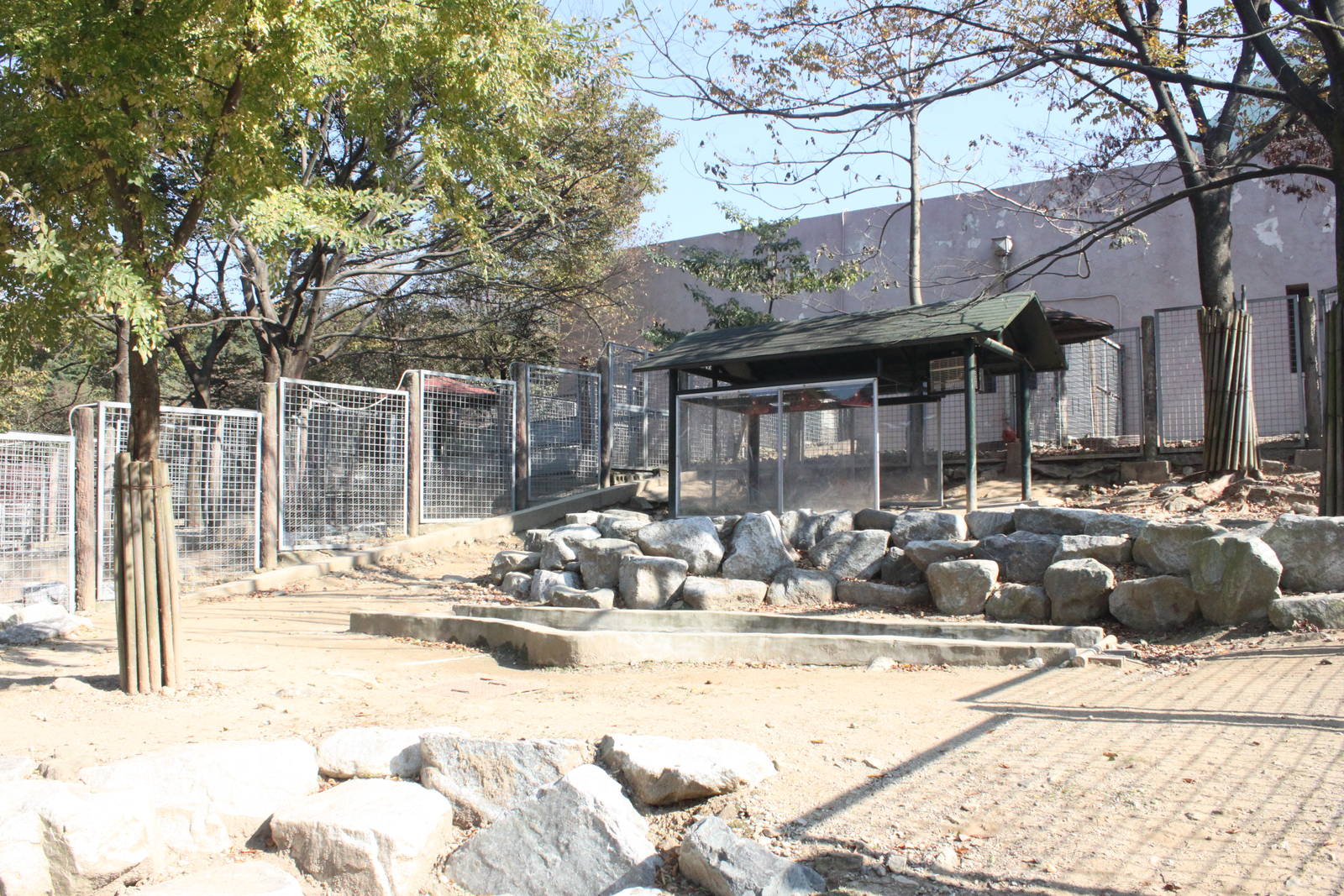 Seoul Zoo - Lowland Tapir outdoor exhibit.
