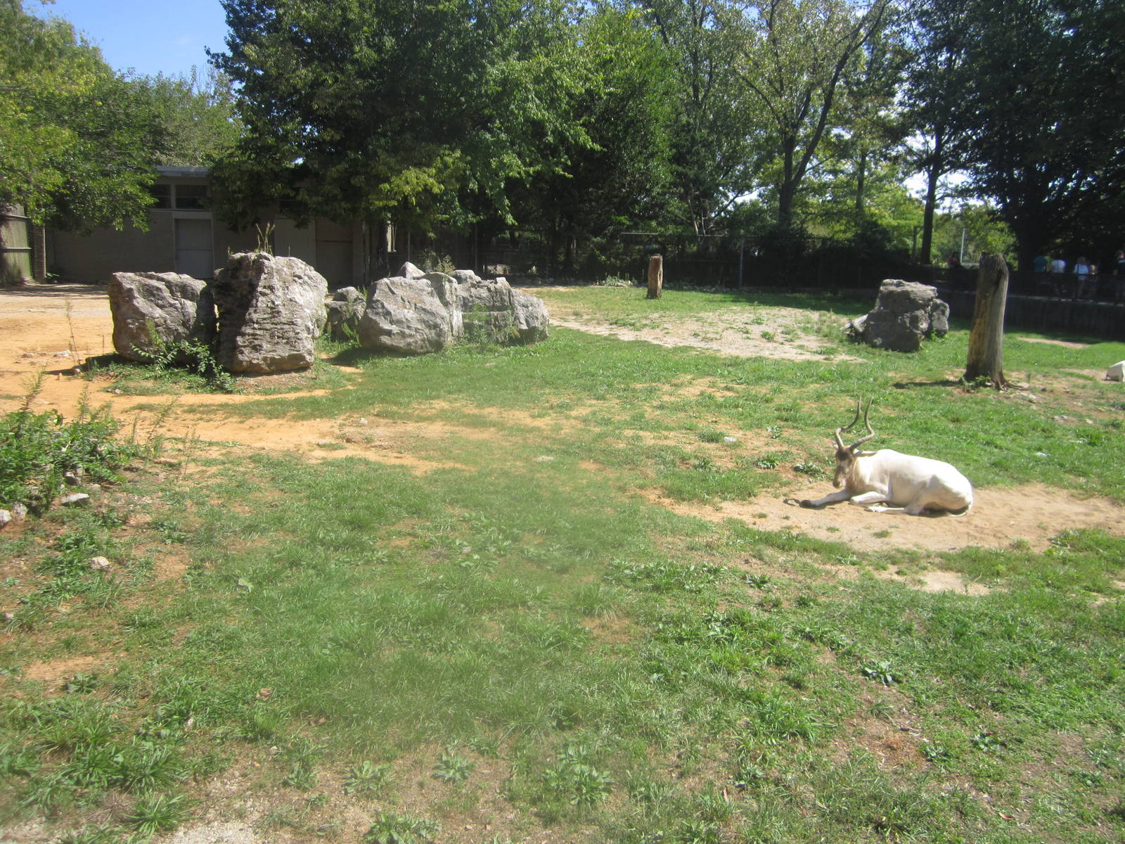 Sep. 2012-Addax exhibit