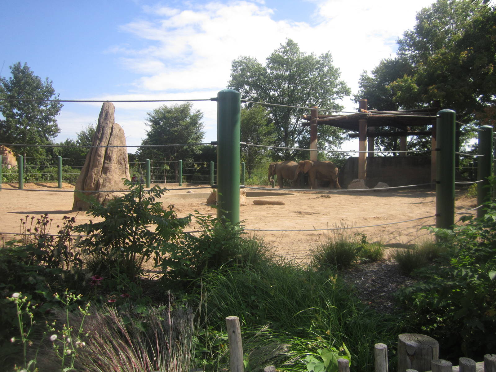 Sep. 2012-African/Asian Elephant exhibit