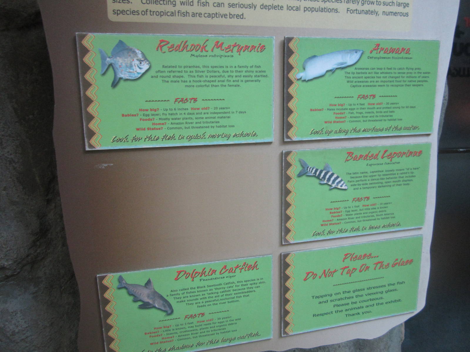 Sep. 2012-Amazon River fish signs
