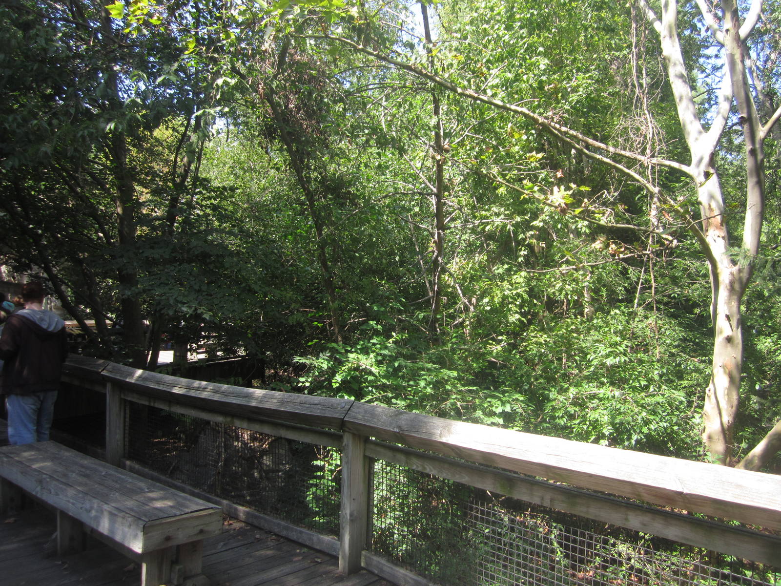 Sep. 2012-Bald Eagle exhibit