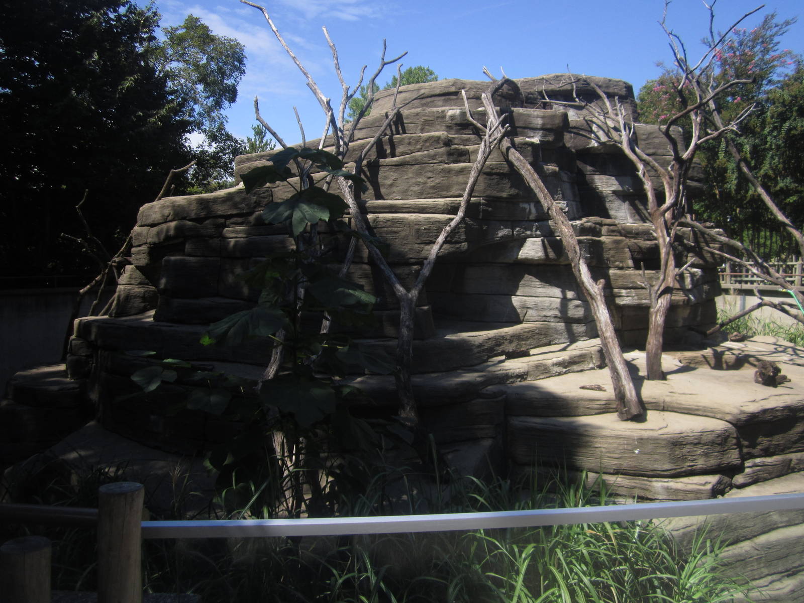 Sep. 2012-Black-and-white Ruffed/Ring-tailed Lemur exhibit