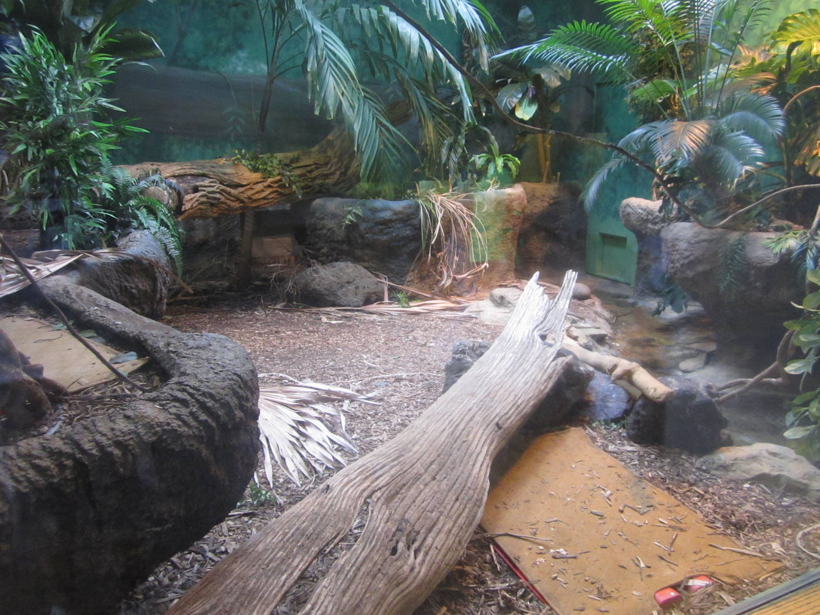 Sep. 2012-Boa Constrictor exhibit