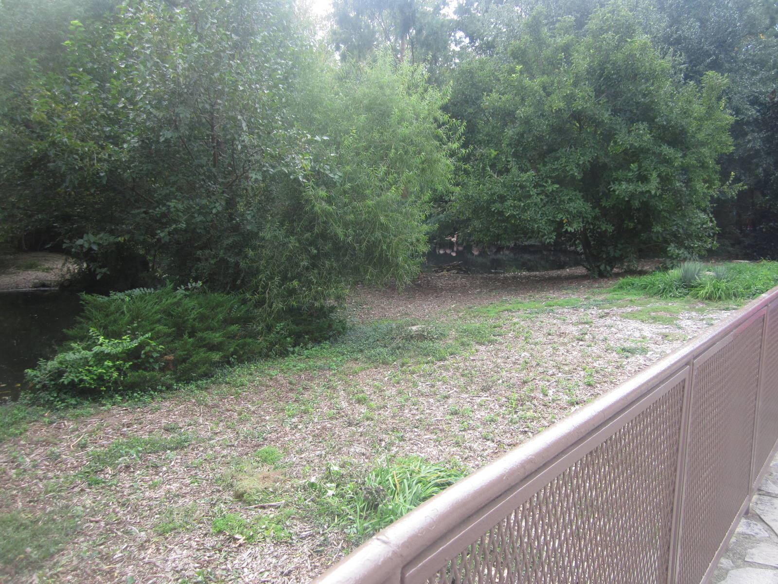 Sep. 2012-Chilean Flamingo/Crested Screamer exhibit