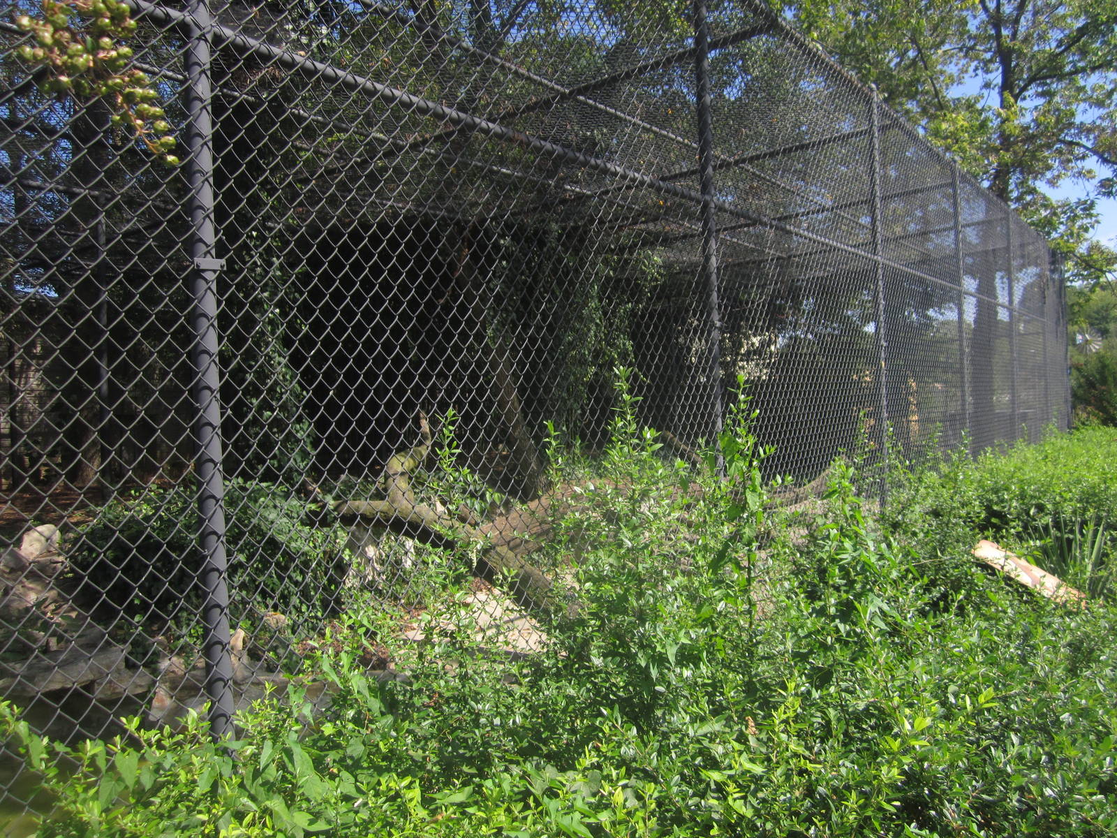 Sep. 2012-Cougar exhibit