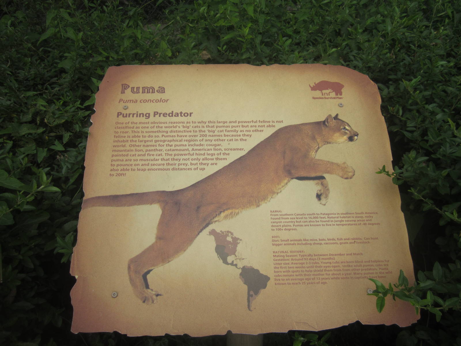 Sep. 2012-Cougar sign