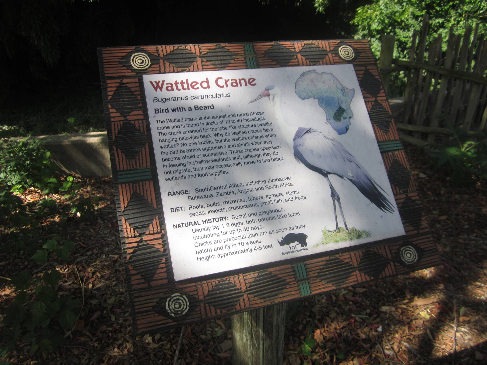 Sep. 2012-Crane sign