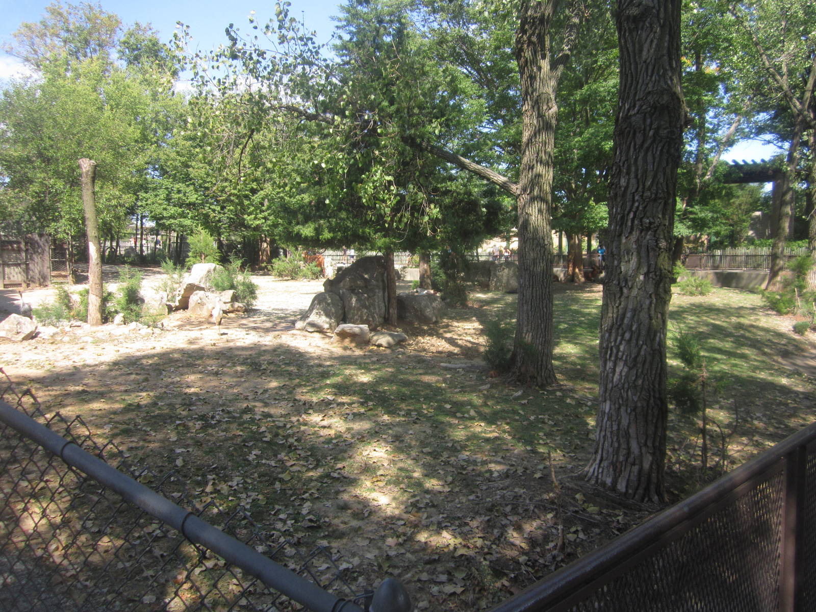 Sep. 2012-East African Crowned Crane/Eastern Bongo exhibit