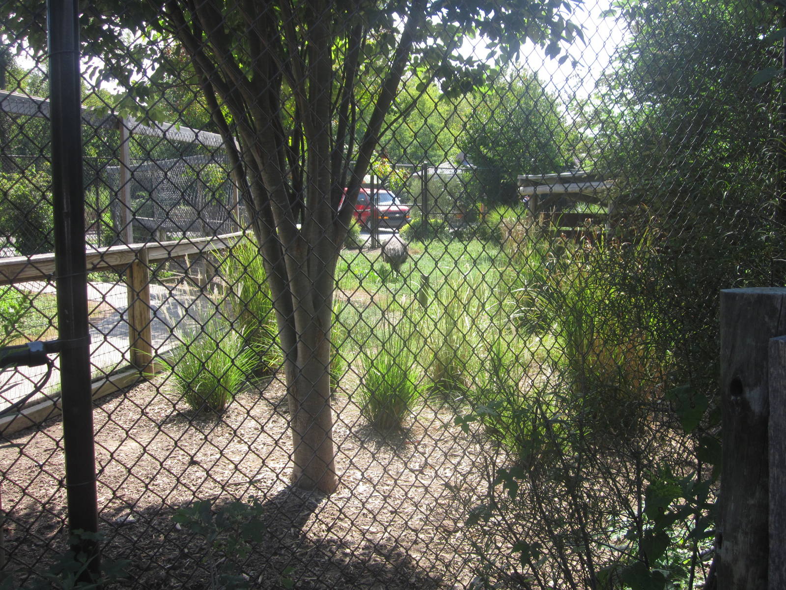 Sep. 2012-Emu exhibit