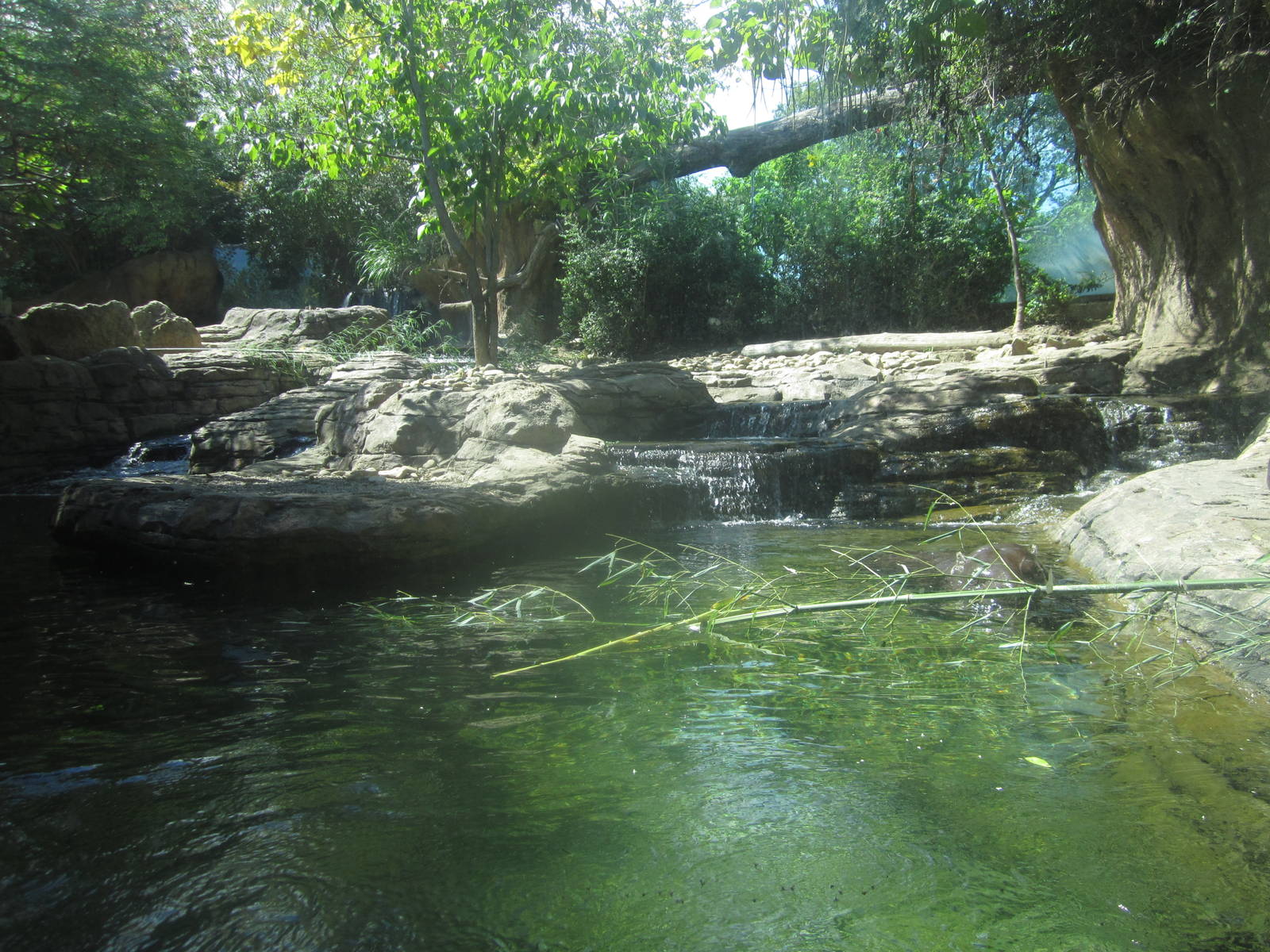 Sep. 2012-Hippo Falls