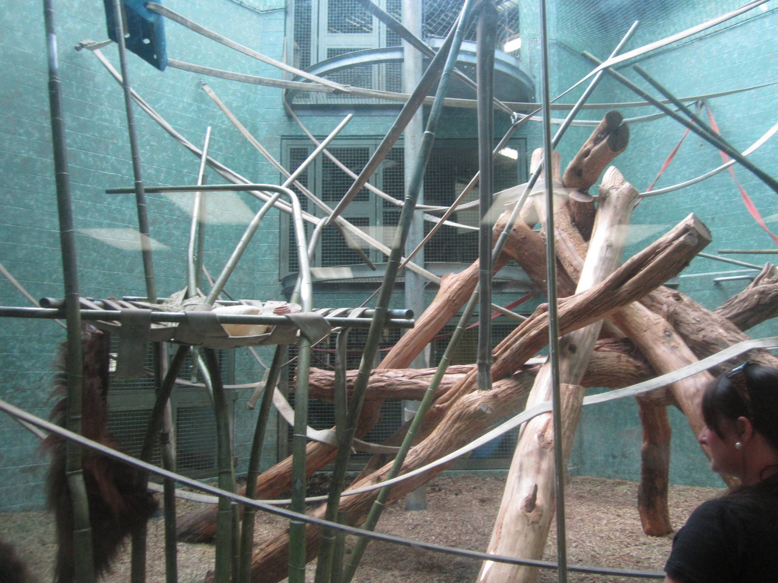 Sep. 2012-Islands Daydroom