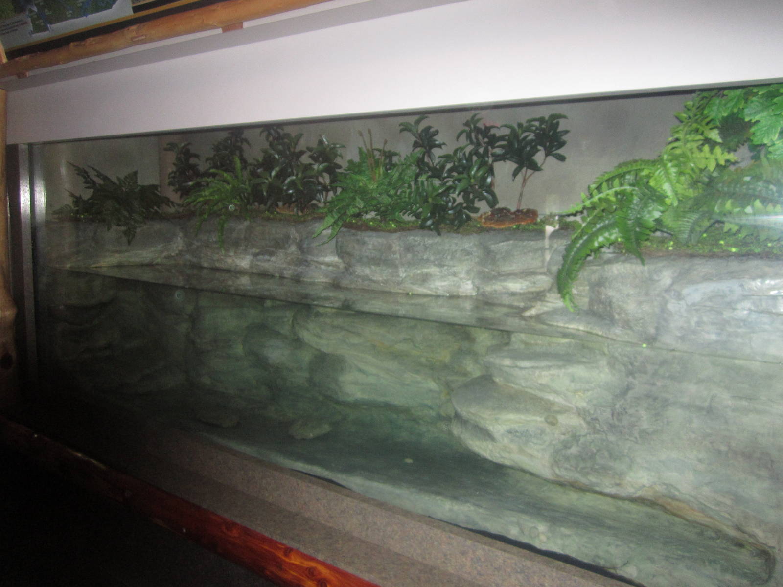 Sep. 2012-Kentucky's River exhibit