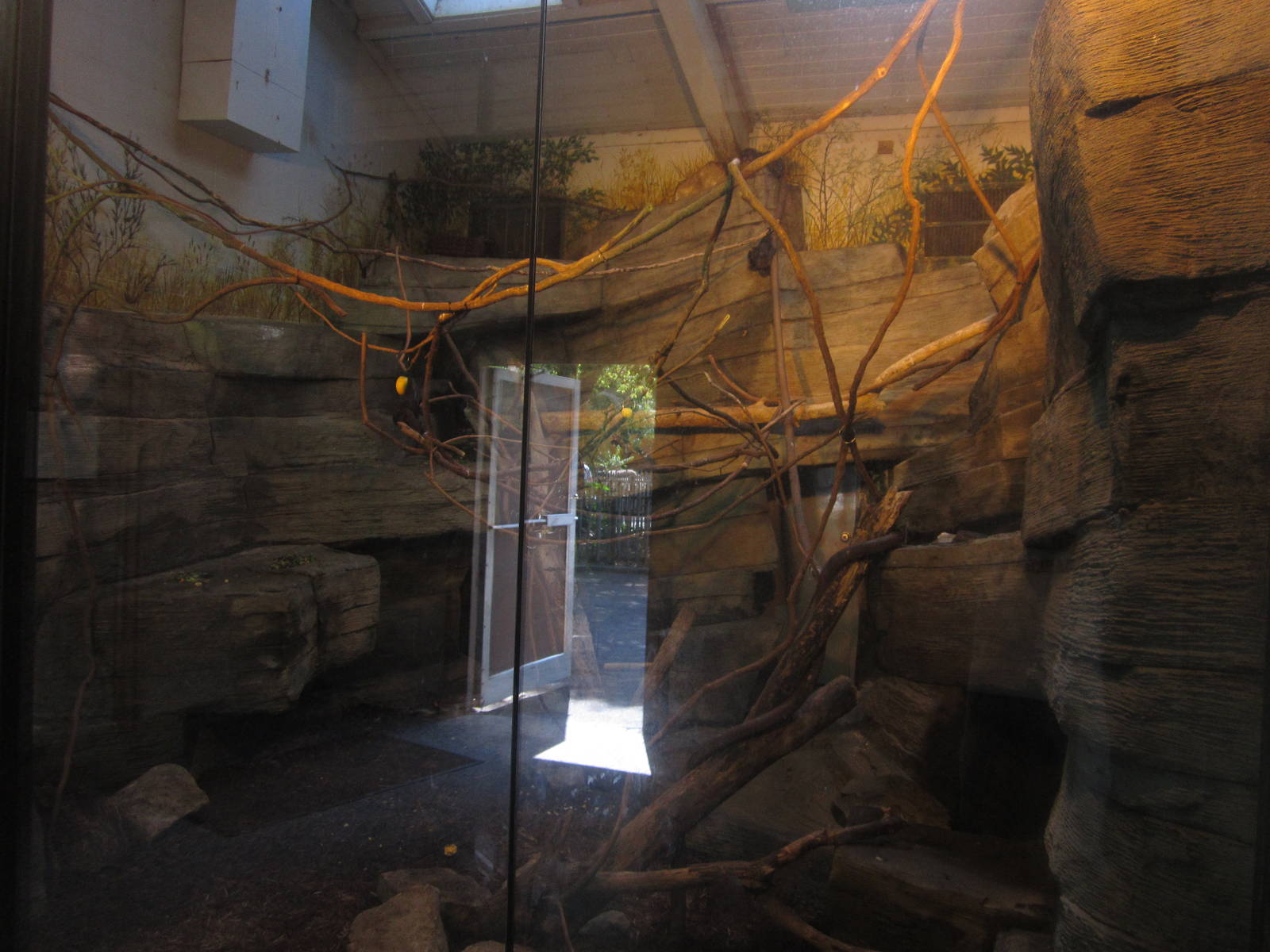 Sep. 2012-Kopje exhibit