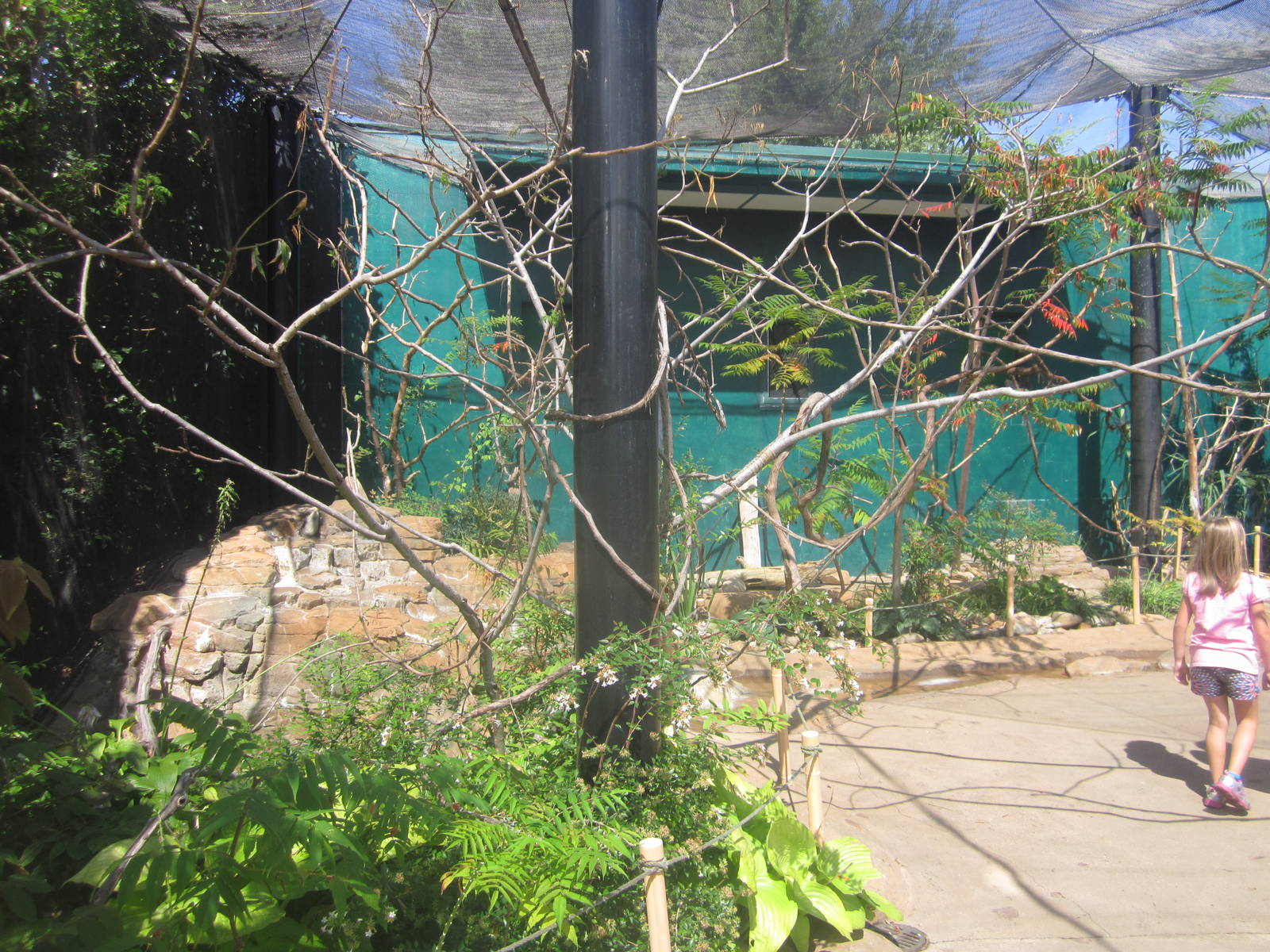 Sep. 2012-Lorikeet Landing