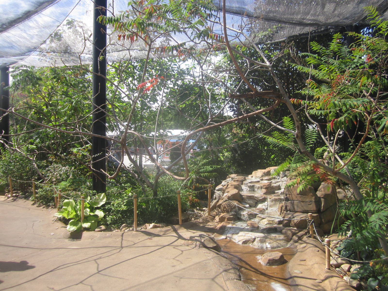 Sep. 2012-Lorikeet Landing