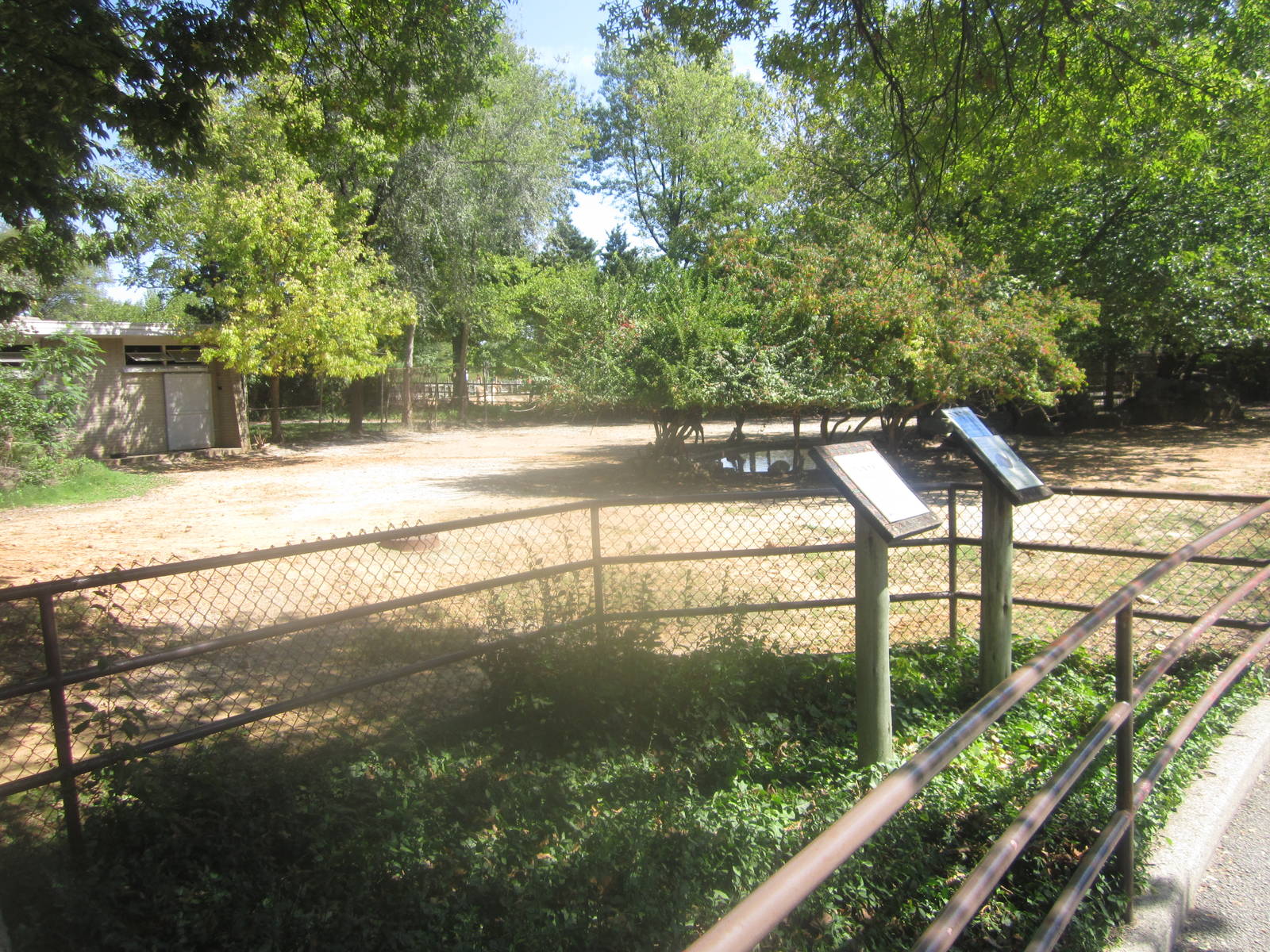 Sep. 2012-Male Eastern Bongo exhibit