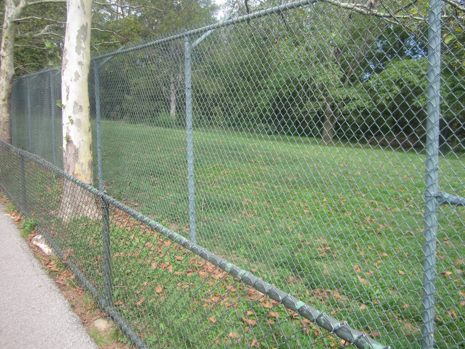 Sep. 2012-Maned Wolf exhibit