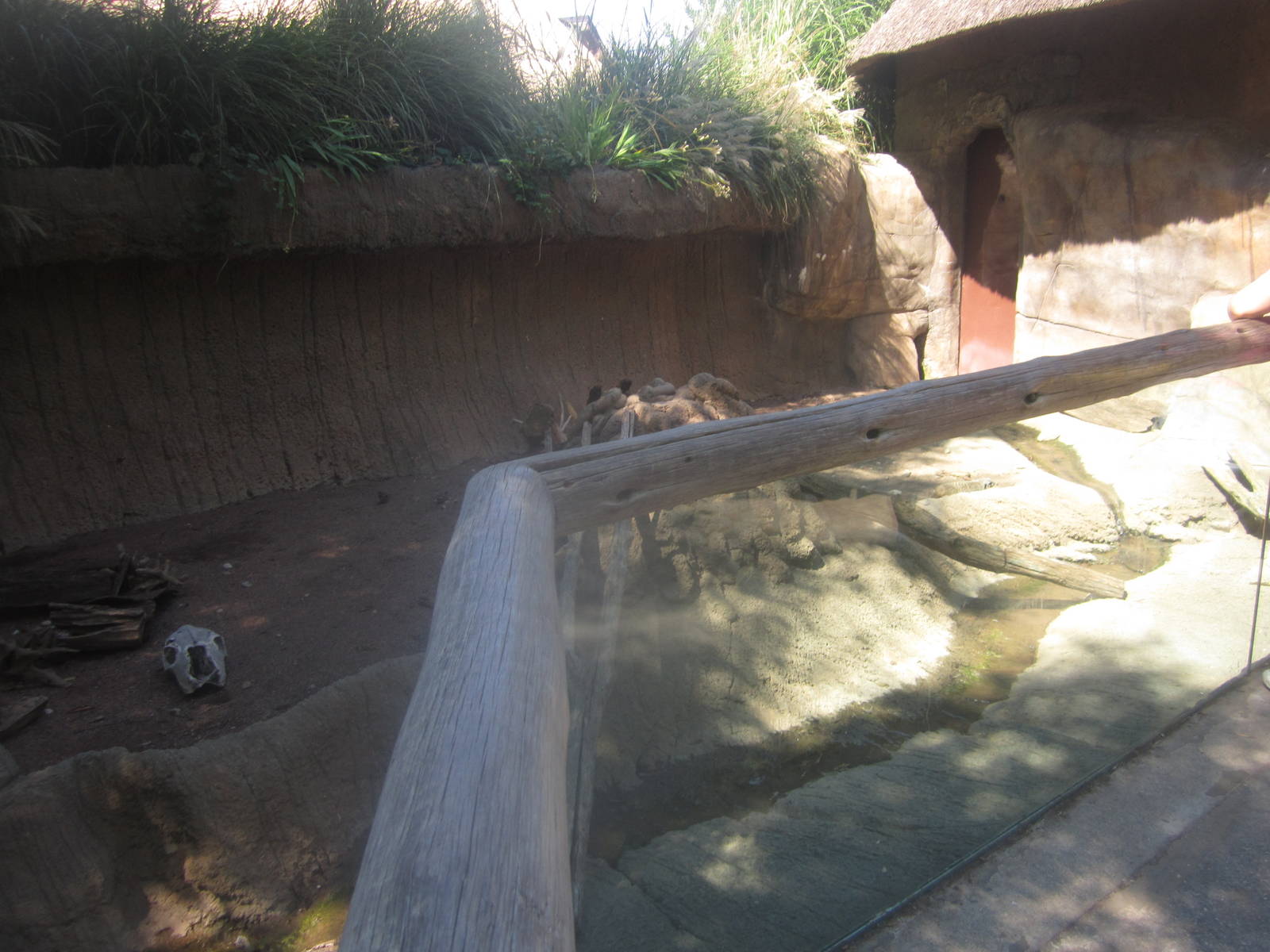 Sep. 2012-Meerkat exhibit