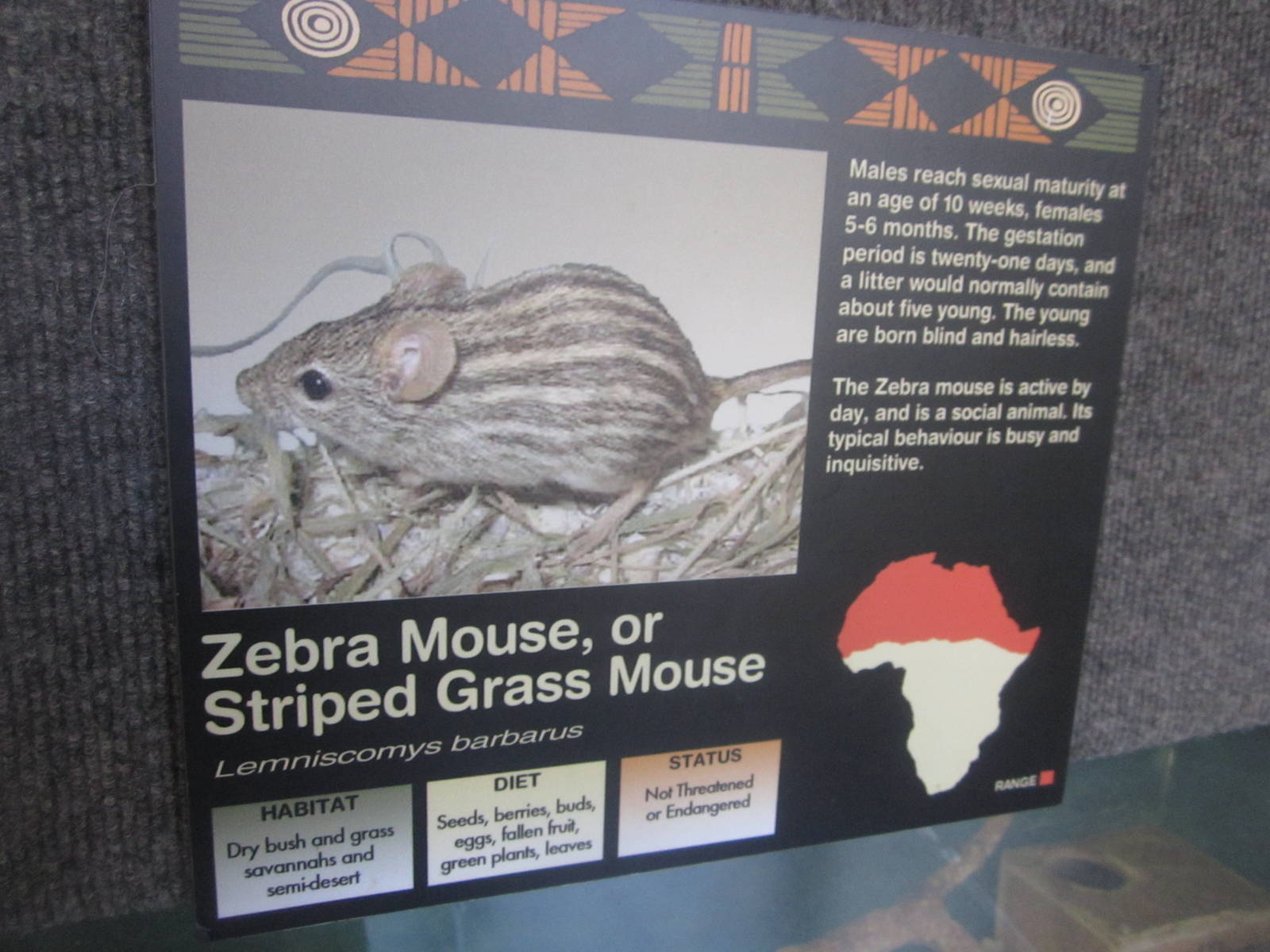 Sep. 2012-Mouse sign