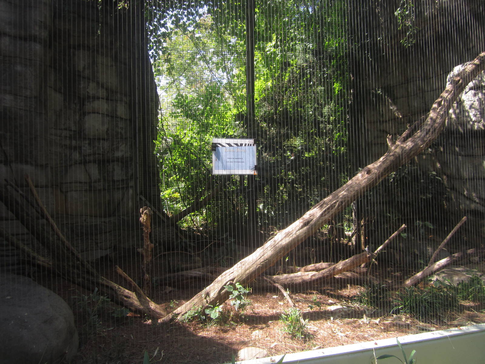 Sep. 2012-Ocelot exhibit